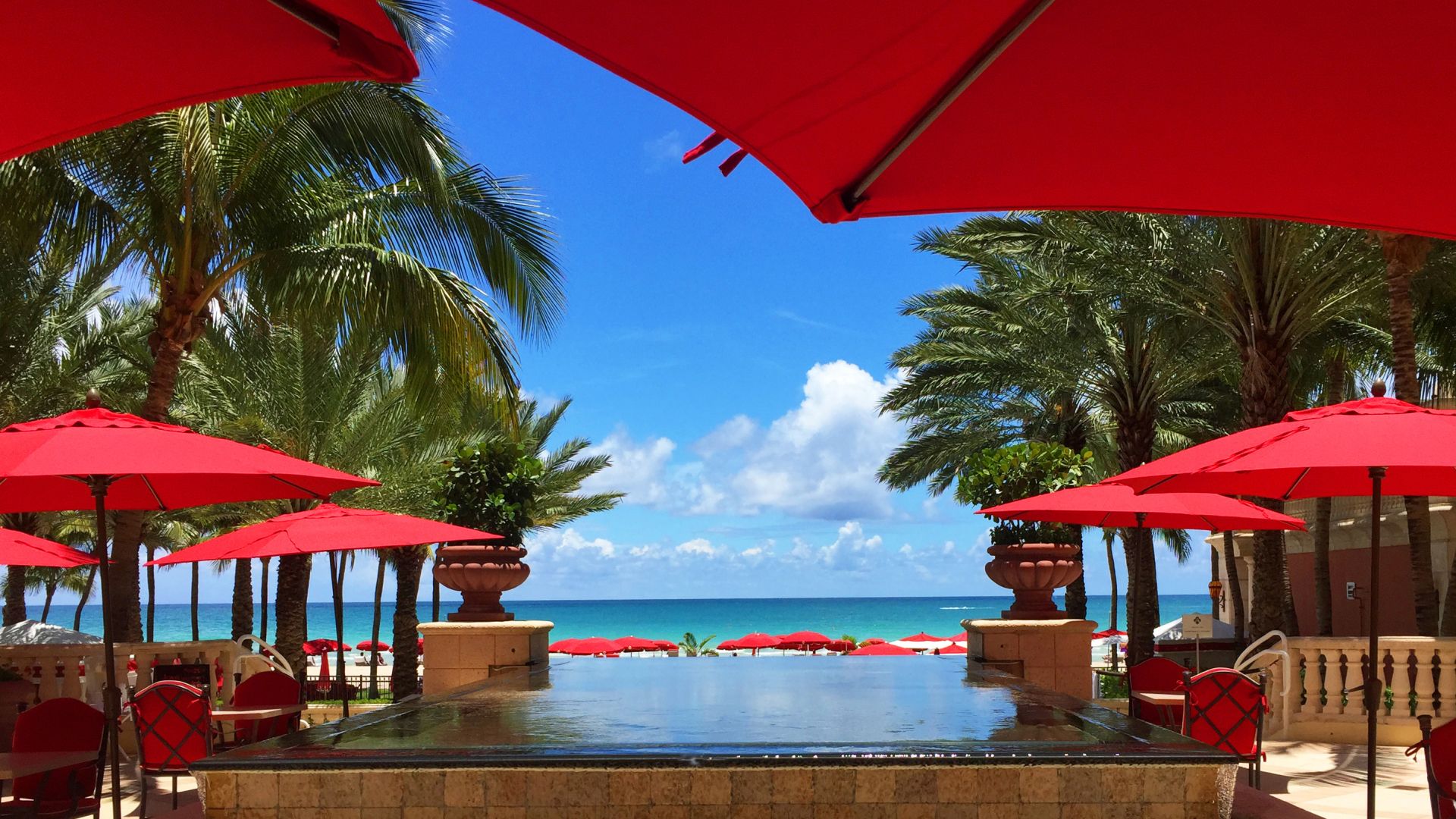 A pool with red umbrellas and palm trees in the background.