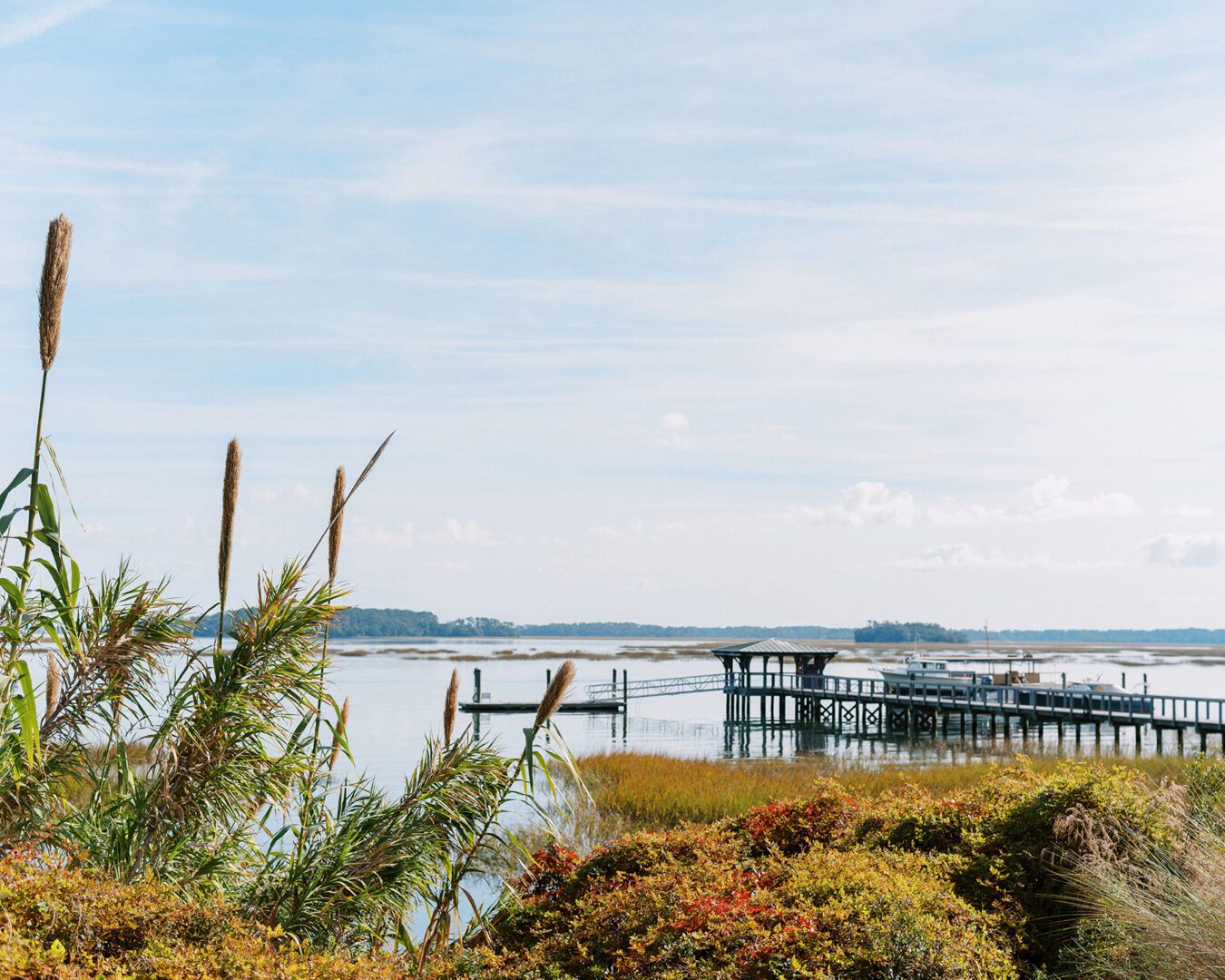 A dock with piers in the background and some bushes