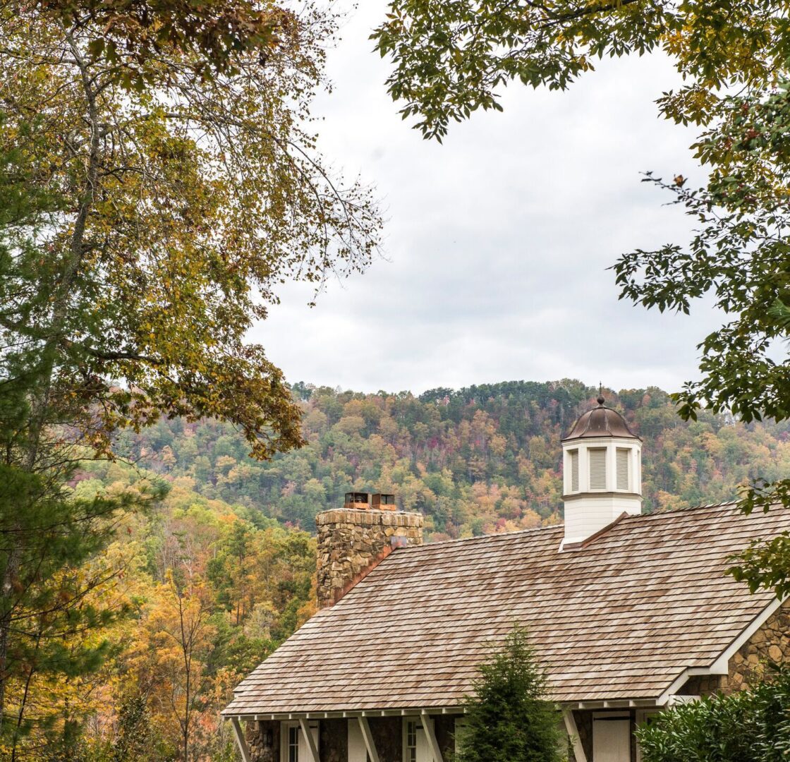 A house with a roof that has a chimney.