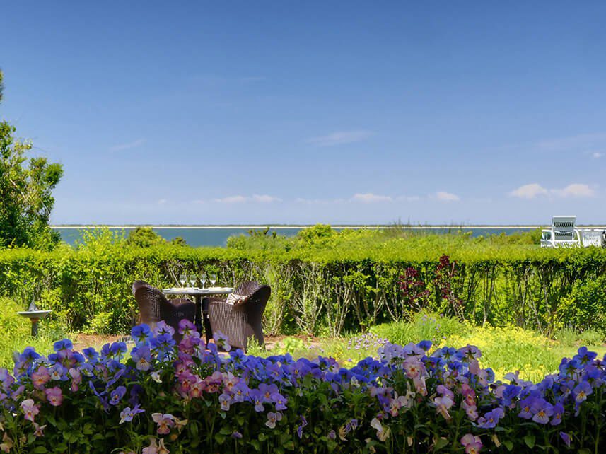 A cow is standing in the grass near some flowers.